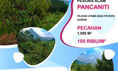 Tanah Kavling Kebun Pesona Alam Pancaniti