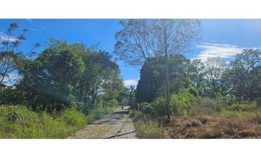 SE VENDE FINCA 1 HAZ CON 1119 METROS VIA ALANJE