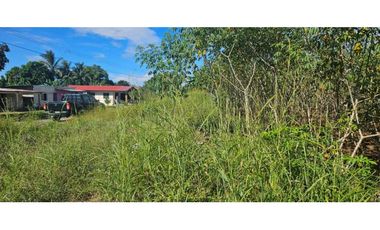SE VENDE FINCA 1 HAZ CON 1119 METROS VIA ALANJE