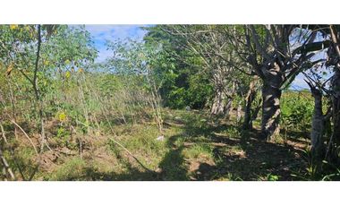 SE VENDE FINCA 1 HAZ CON 1119 METROS VIA ALANJE
