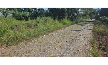 SE VENDE FINCA 1 HAZ CON 1119 METROS VIA ALANJE