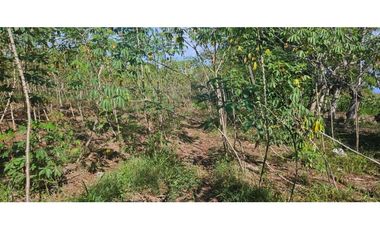 SE VENDE FINCA 1 HAZ CON 1119 METROS VIA ALANJE