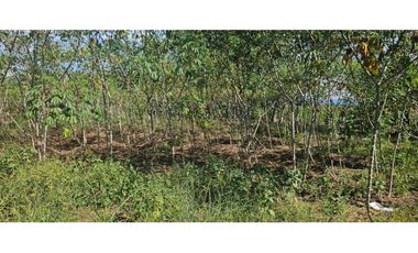 SE VENDE FINCA 1 HAZ CON 1119 METROS VIA ALANJE