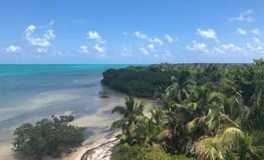 Isla en venta en Punta Allen Península de Yucatán