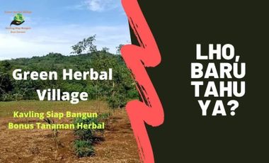 Tanah Kavling Herbal Super Murah Siap Bangun dekat Makassar Bonus Tanaman Herbal