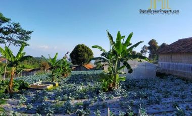 tanah kebun VIEW KOTA BANDUNG dekat pariwisata lembang