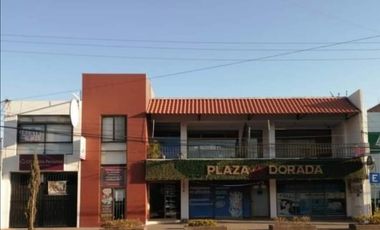 Renta oficina p.alta Blvd Díaz Ordaz Las Reynas Irapuato