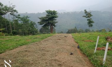 Kavling Kebun Sukaharja Bogor WA : 08141356---- (Chera)