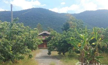 Land for sale in Si Bua Ban, Lamphun