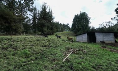 finca en venta en la calera. Cod V1065010