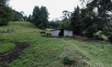 finca en venta en la calera. Cod V1065010