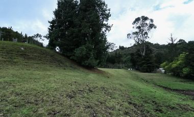 finca en venta en la calera. Cod V1065010