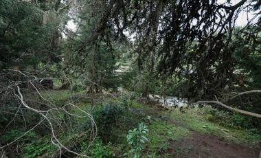 finca en venta en la calera. Cod V1065010