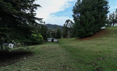 finca en venta en la calera. Cod V1065010