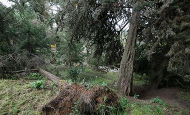 finca en venta en la calera. Cod V1065010