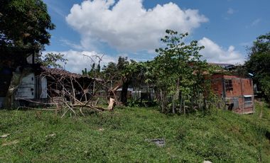 LOTE EN VENTA EN CHINCHINA-CALDAS
