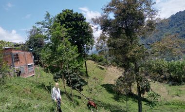 LOTE EN VENTA EN CHINCHINA-CALDAS