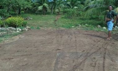 Lot for sale near public market and school in camotes island