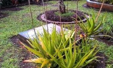 Rumah Dijual di Ciamis Jawa Barat