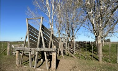 Campo en venta en Ranchos. 232 Has. ganadero