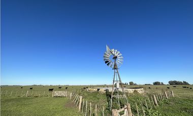 Campo en venta en Ranchos. 232 Has. ganadero