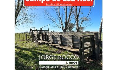 Campo en venta en Ranchos. 232 Has. ganadero