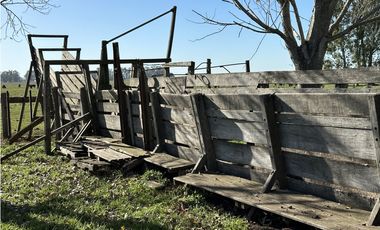 Campo en venta en Ranchos. 232 Has. ganadero