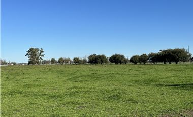 Campo en venta en Ranchos. 232 Has. ganadero