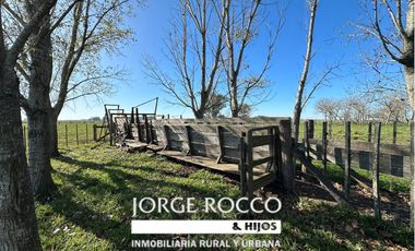 Campo en venta en Ranchos. 232 Has. ganadero