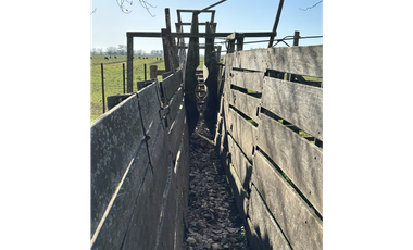 Campo en venta en Ranchos. 232 Has. ganadero
