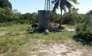 RANCHO EN VENTA, ENTRE PANABA Y SAN FCO., EN YALSIJON, YUCATAN