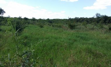 RANCHO EN VENTA, ENTRE PANABA Y SAN FCO., EN YALSIJON, YUCATAN