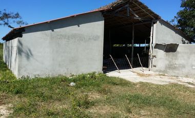 RANCHO EN VENTA, ENTRE PANABA Y SAN FCO., EN YALSIJON, YUCATAN