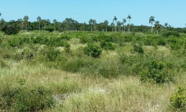 RANCHO EN VENTA, ENTRE PANABA Y SAN FCO., EN YALSIJON, YUCATAN
