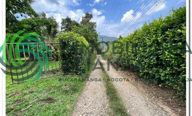 lote en venta en vereda los cauchos. Cod V61225