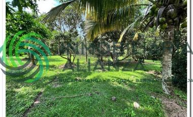 lote en venta en vereda los cauchos. Cod V61225