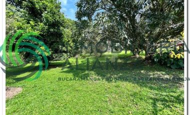 lote en venta en vereda los cauchos. Cod V61225