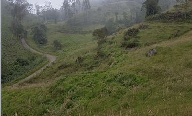 finca en venta en granada. Cod V3958