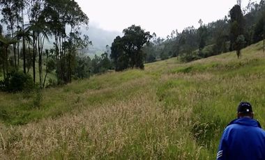 finca en venta en granada. Cod V3958