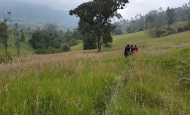 finca en venta en granada. Cod V3958