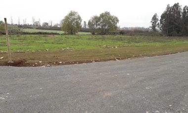 Sitio en Venta en Puente de Lata Río Lircay