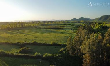Sitio en Venta en Puente de Lata Río Lircay