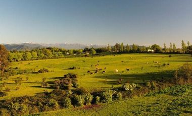 Sitio en Venta en Puente de Lata Río Lircay