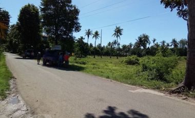 SUBDIVISION COMMERCIAL LOT FOR SALE - 129 sqm with an easy financing scheme w/o interest in Erizo de Mar Carcar Cebu.
