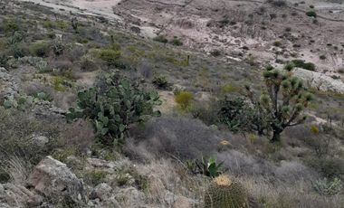 RANCHO 63HECTAREAS ANTIGUOU