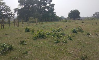 RANCHO 63HECTAREAS ANTIGUOU