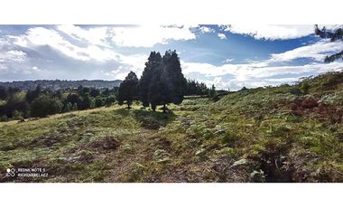 Lote en el Alto de palmas de 31.090 M2 con licencia múltiple