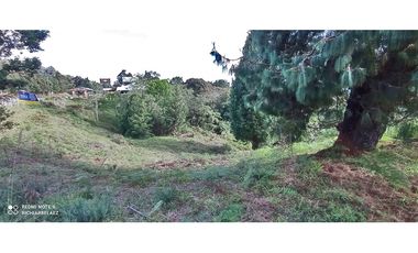 Lote en el Alto de palmas de 31.090 M2 con licencia múltiple