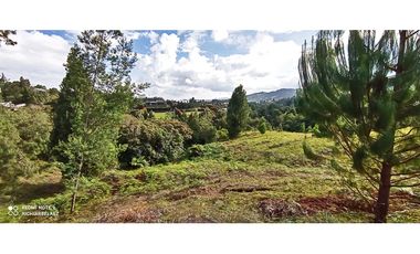 Lote en el Alto de palmas de 31.090 M2 con licencia múltiple