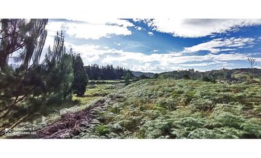 Lote en el Alto de palmas de 31.090 M2 con licencia múltiple